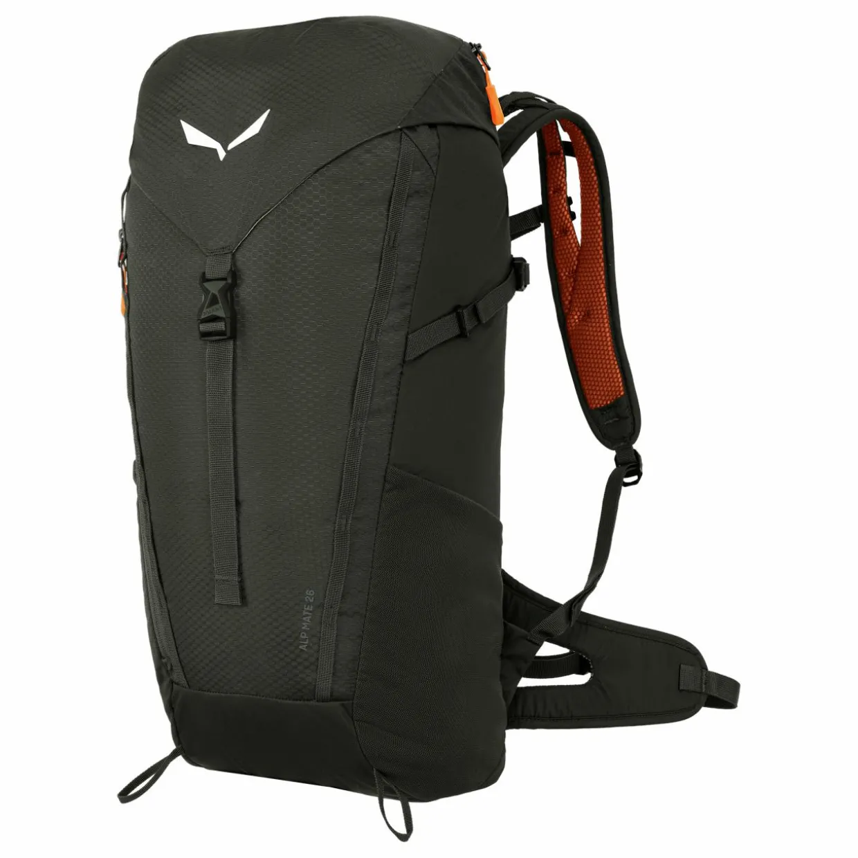 Alp Mate 26L Backpack