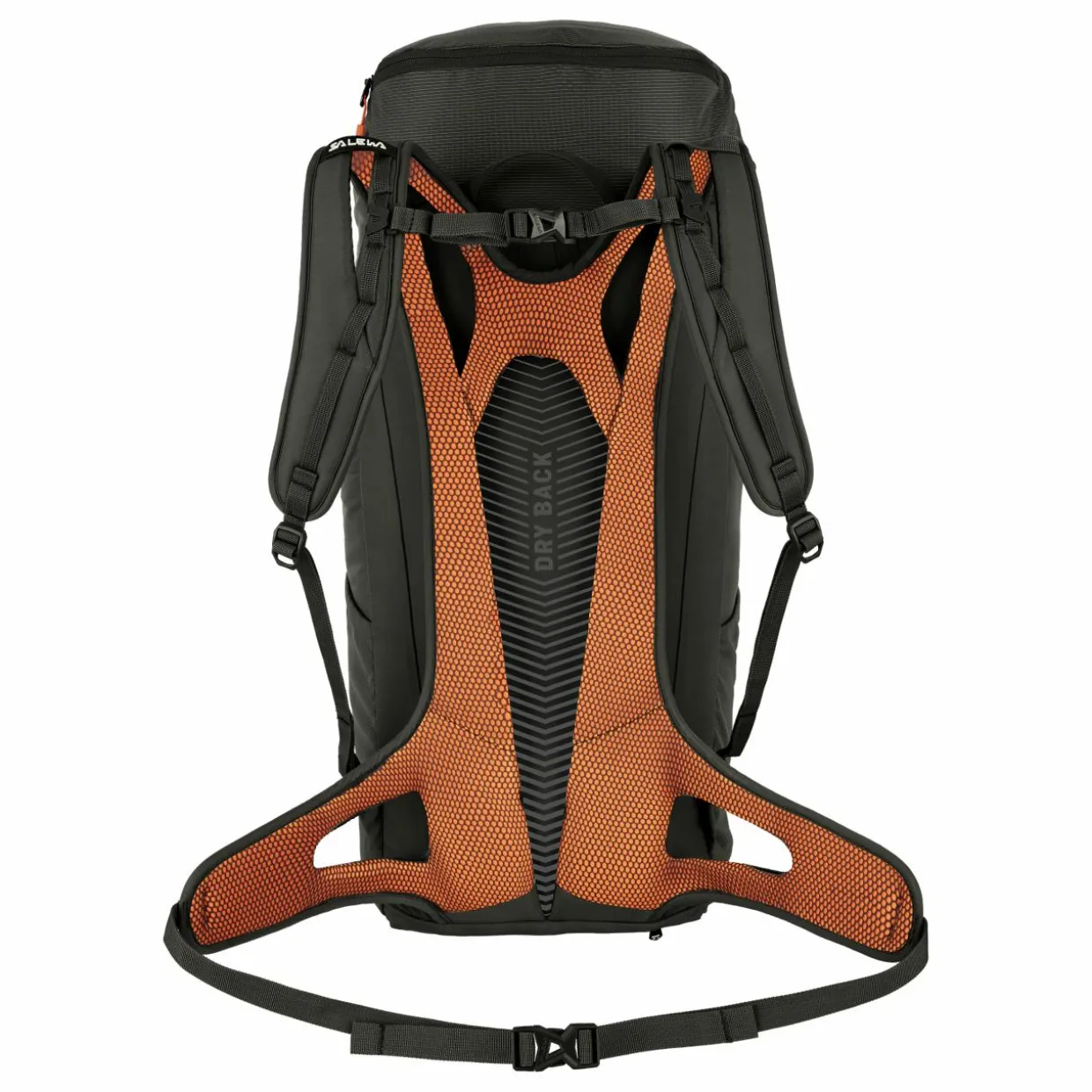 Alp Mate 36L Backpack