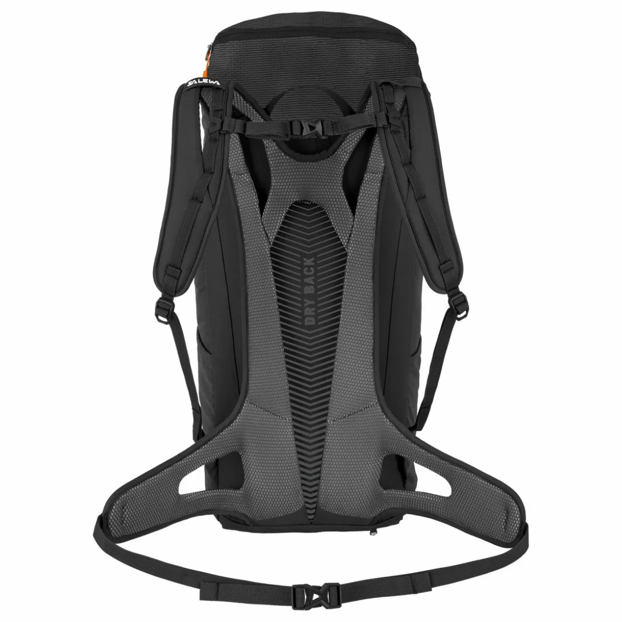 Alp Mate 26L Backpack
