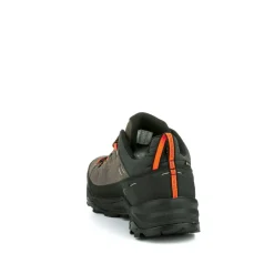 Alp Trainer 2 Gore-Tex® Shoe Men