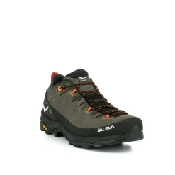 Alp Trainer 2 Gore-Tex® Shoe Men