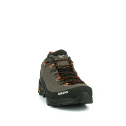 Alp Trainer 2 Gore-Tex® Shoe Men
