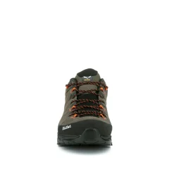 Alp Trainer 2 Gore-Tex® Shoe Men