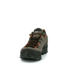 Alp Trainer 2 Gore-Tex® Shoe Men
