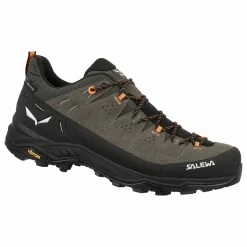 Alp Trainer 2 Gore-Tex® Shoe Men
