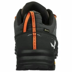 Alp Trainer 2 Gore-Tex® Shoe Men