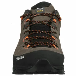 Alp Trainer 2 Gore-Tex® Shoe Men
