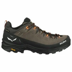 Alp Trainer 2 Gore-Tex® Shoe Men