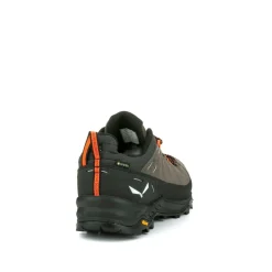 Alp Trainer 2 Gore-Tex® Shoe Men