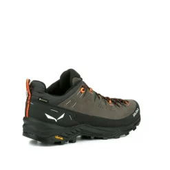 Alp Trainer 2 Gore-Tex® Shoe Men