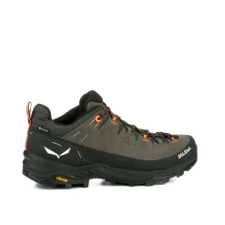 Alp Trainer 2 Gore-Tex® Shoe Men