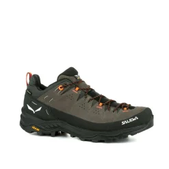 Alp Trainer 2 Gore-Tex® Shoe Men