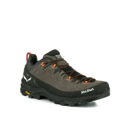 Alp Trainer 2 Gore-Tex® Shoe Men