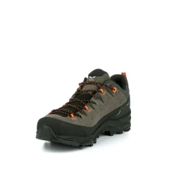 Alp Trainer 2 Gore-Tex® Shoe Men