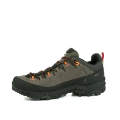 Alp Trainer 2 Gore-Tex® Shoe Men