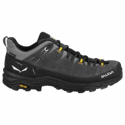 Alp Trainer 2 Gore-Tex® Shoe Men