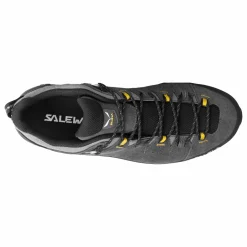 Alp Trainer 2 Gore-Tex® Shoe Men