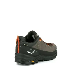 Alp Trainer 2 Gore-Tex® Shoe Men