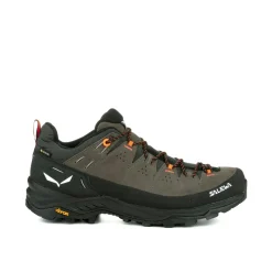 Alp Trainer 2 Gore-Tex® Shoe Men