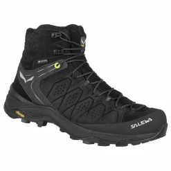 Alp Trainer 2 Mid GORE-TEX® Men's Shoe
