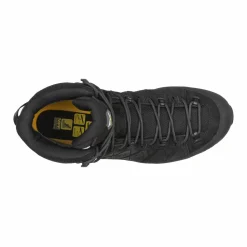 Alp Trainer 2 Mid GORE-TEX® Men's Shoe