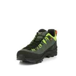 Alp Trainer 2 Shoe Men