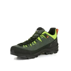 Alp Trainer 2 Shoe Men