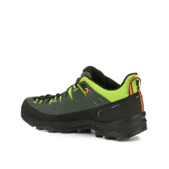 Alp Trainer 2 Shoe Men