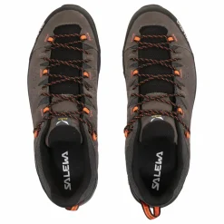 Alp Trainer 2 Shoe Men