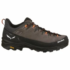 Alp Trainer 2 Shoe Men