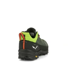 Alp Trainer 2 Shoe Men