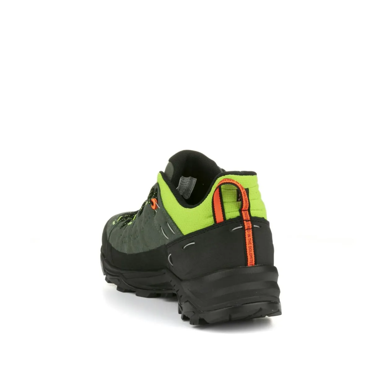 Alp Trainer 2 Shoe Men
