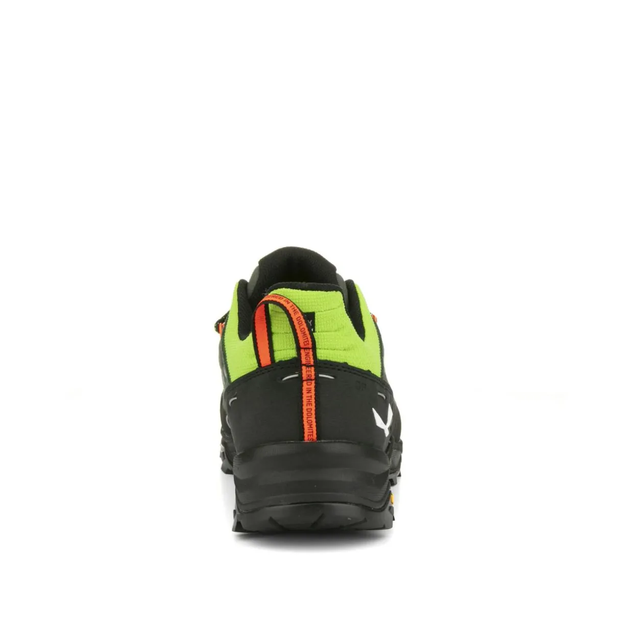 Alp Trainer 2 Shoe Men