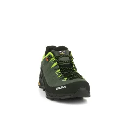 Alp Trainer 2 Shoe Men