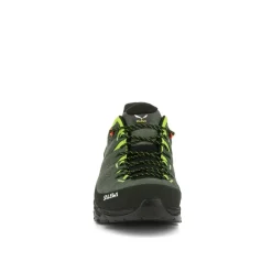 Alp Trainer 2 Shoe Men