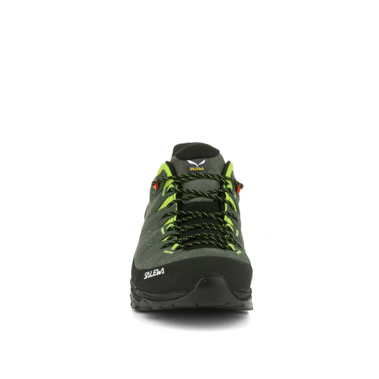 Alp Trainer 2 Shoe Men