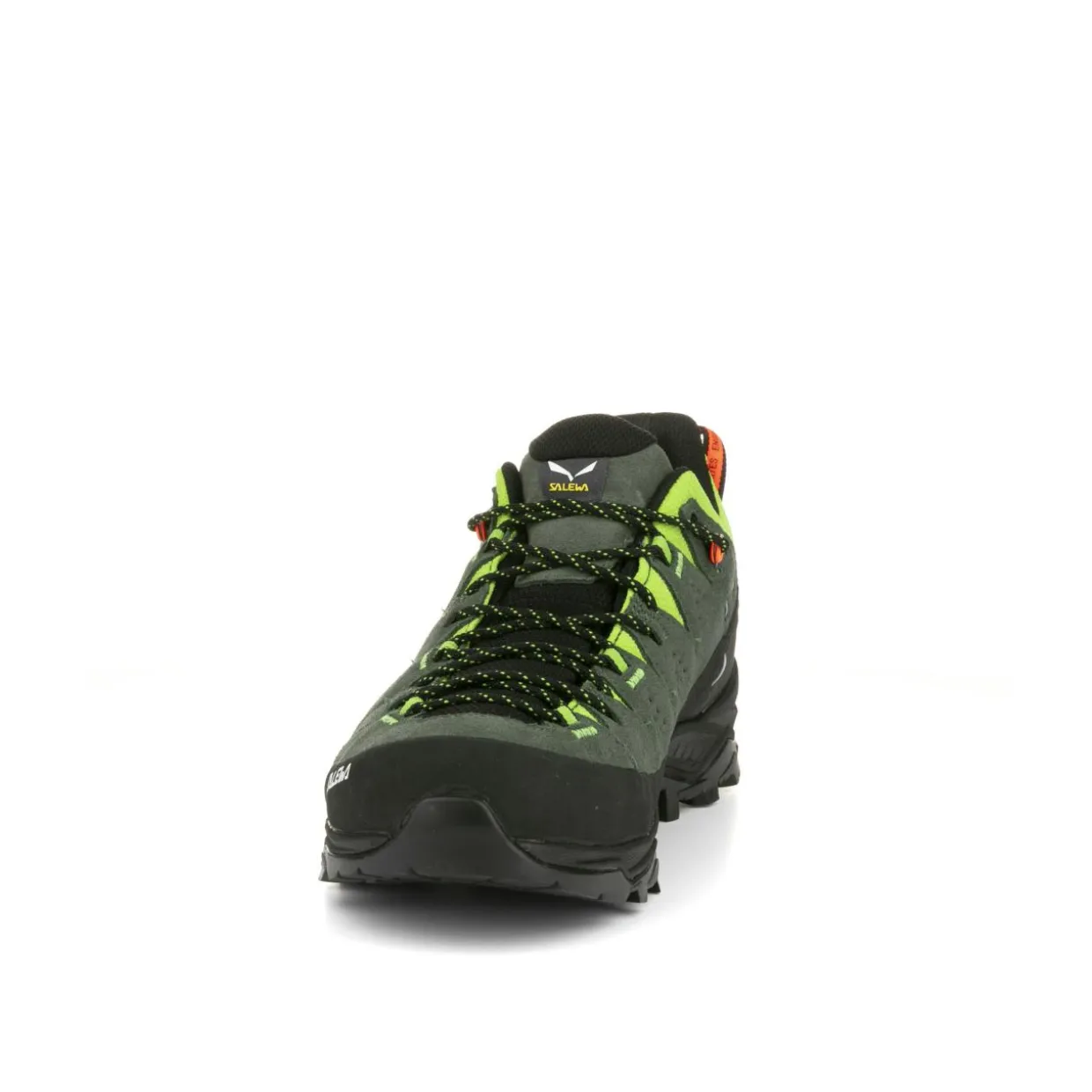 Alp Trainer 2 Shoe Men