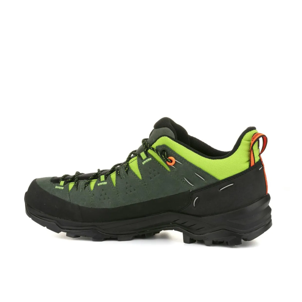 Alp Trainer 2 Shoe Men