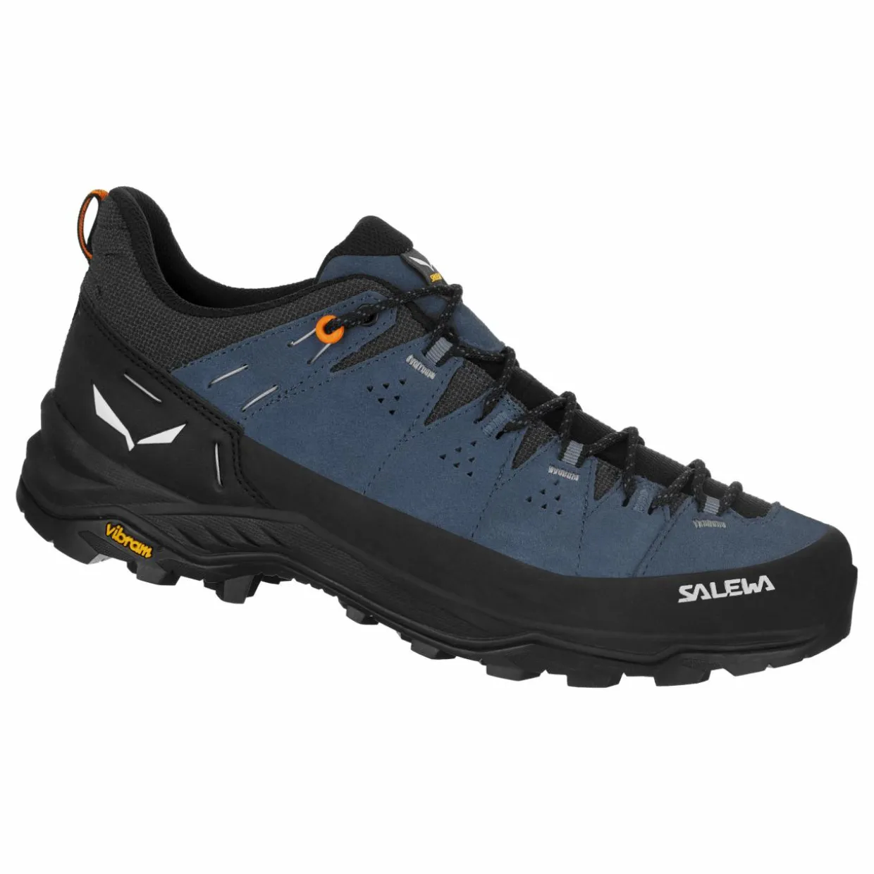 Alp Trainer 2 Shoe Men