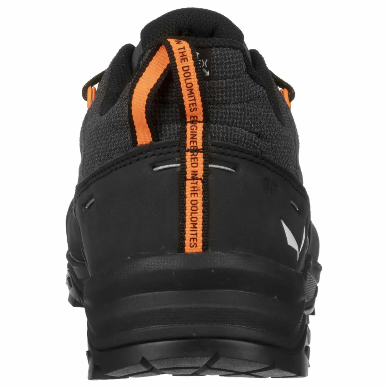 Alp Trainer 2 Shoe Men