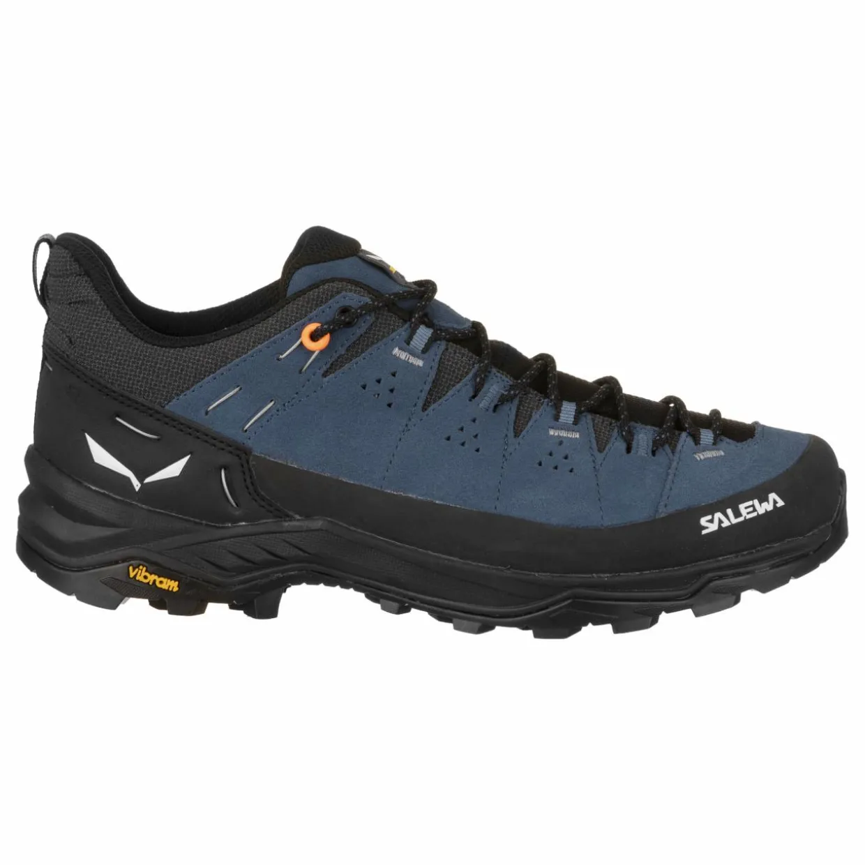 Alp Trainer 2 Shoe Men