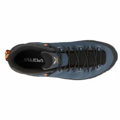 Alp Trainer 2 Shoe Men