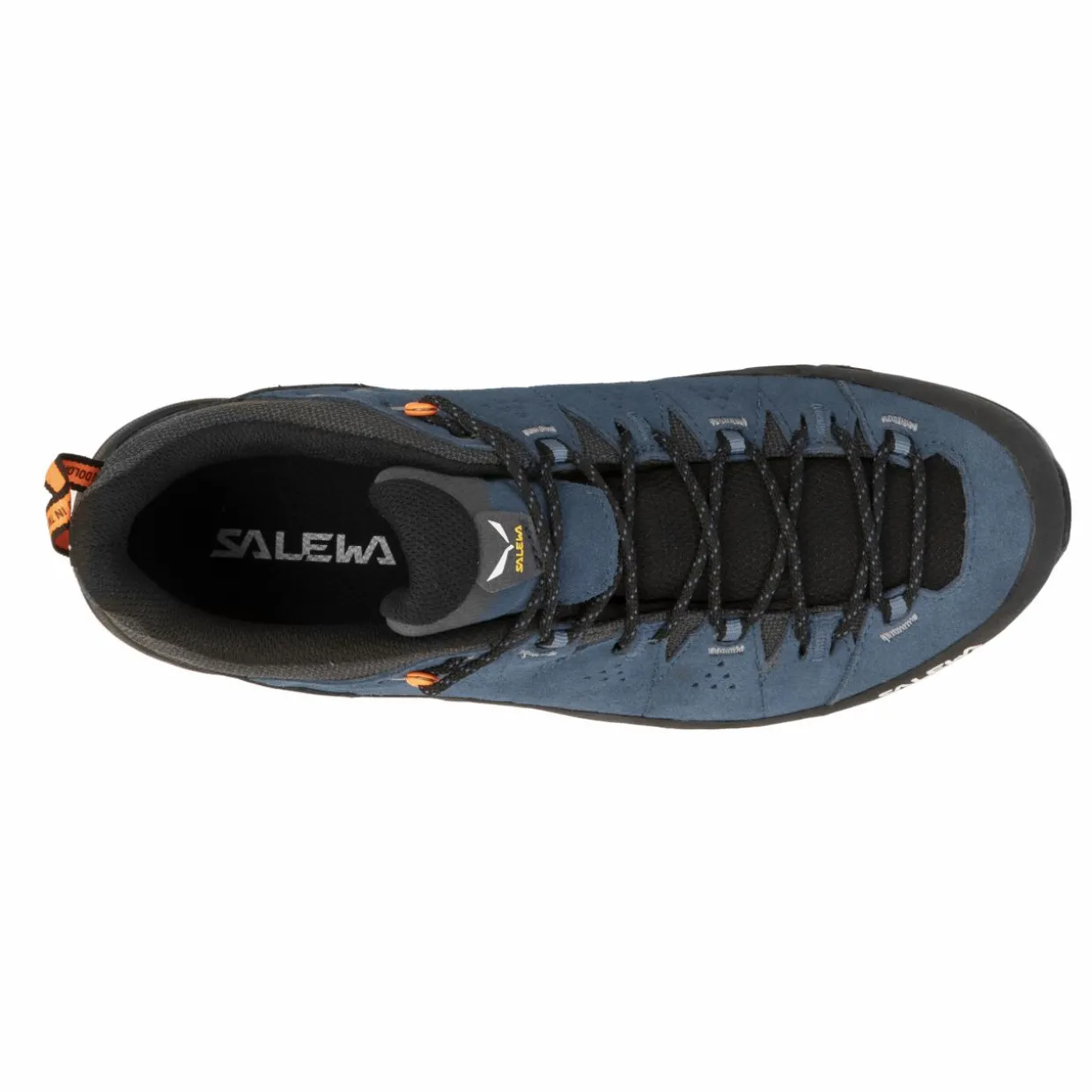 Alp Trainer 2 Shoe Men