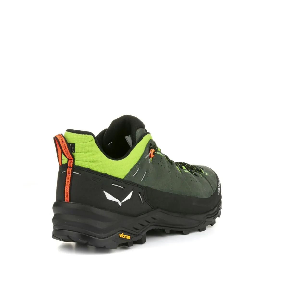Alp Trainer 2 Shoe Men