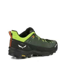 Alp Trainer 2 Shoe Men