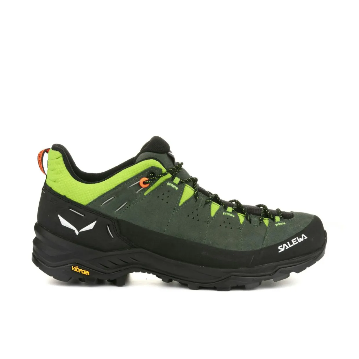 Alp Trainer 2 Shoe Men