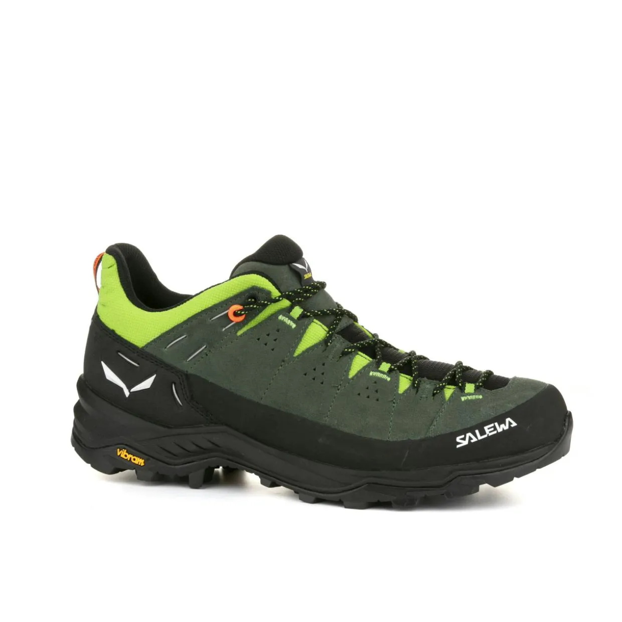 Alp Trainer 2 Shoe Men
