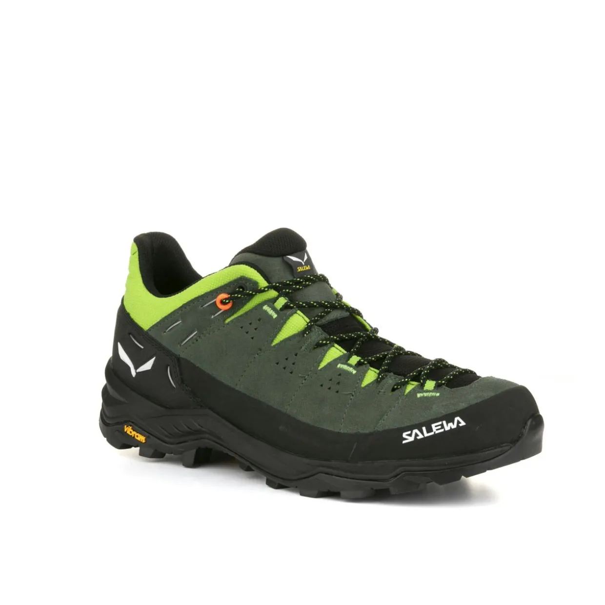 Alp Trainer 2 Shoe Men
