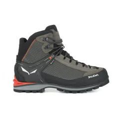 Crow GORE-TEX® Men's Shoes
