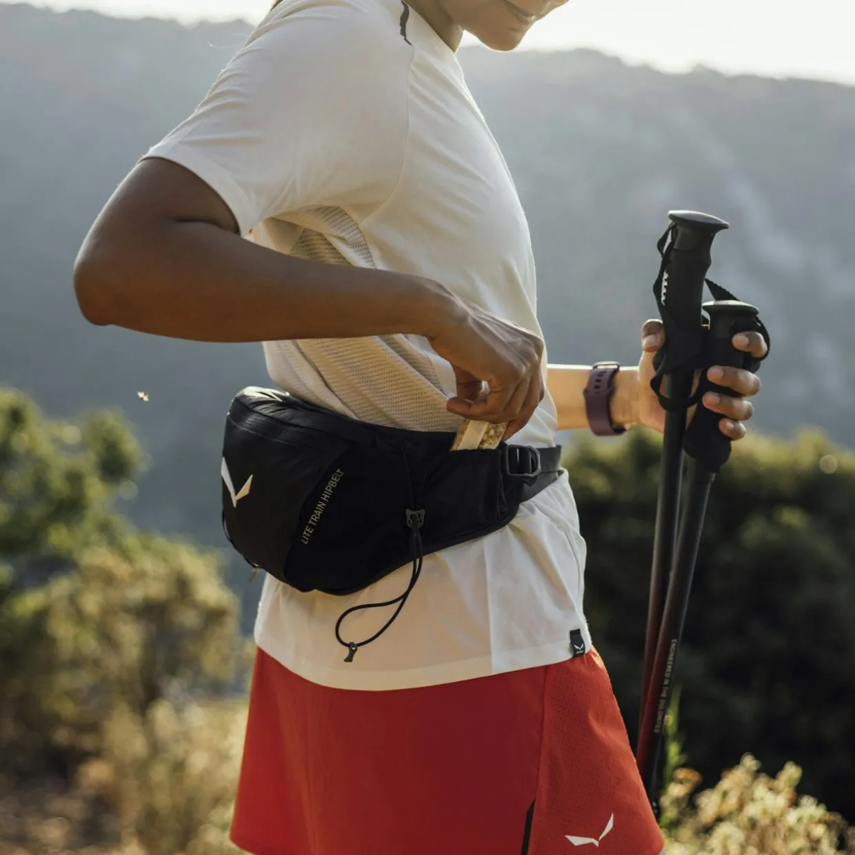 Lite Train Hipbelt